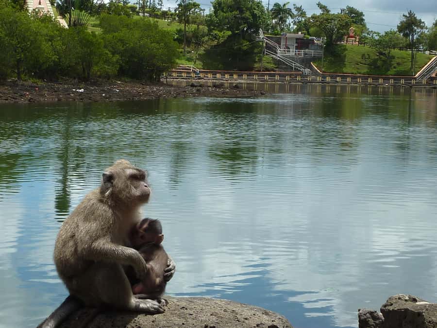 Mauritius: Private Guided South Tour with Pickup - Key points at a glance
