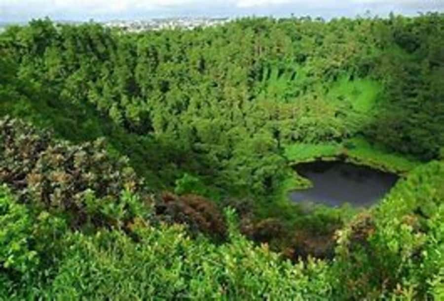 Mauritius: Private Guided South Tour with Pickup - Grand Bassin and the Hindu heart of the route