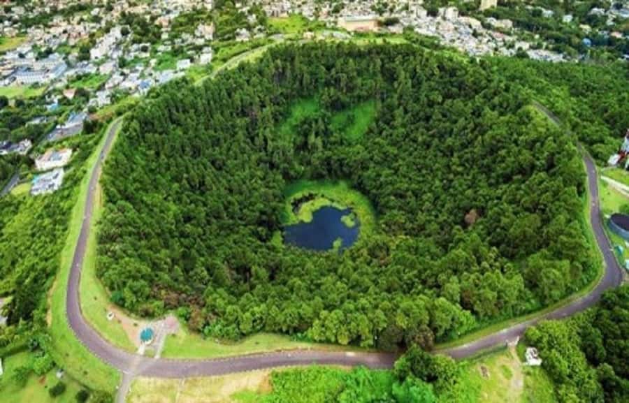Mauritius: Private South Day Tour with Hotel Transfer - Alexandra Falls and Black River Gorges show the island’s greener side