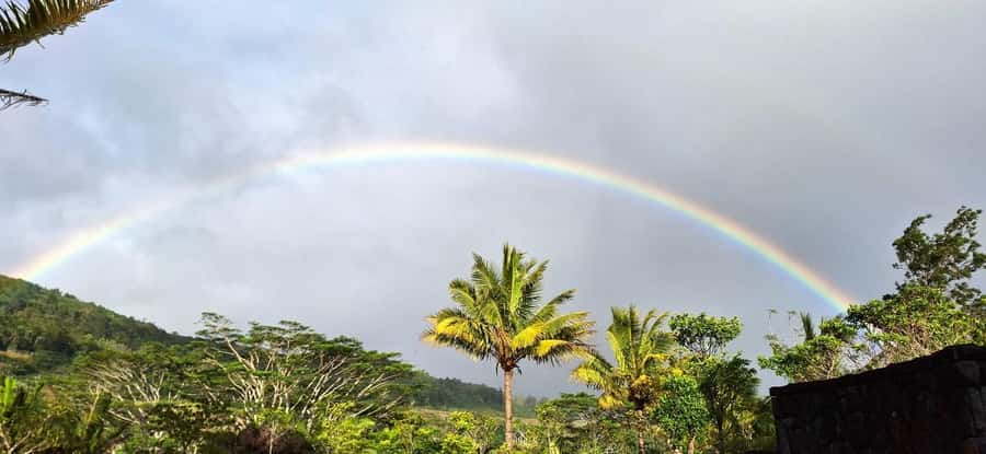 Mauritius: Private South Day Tour with Hotel Transfer - The guide can shape the quality of the day