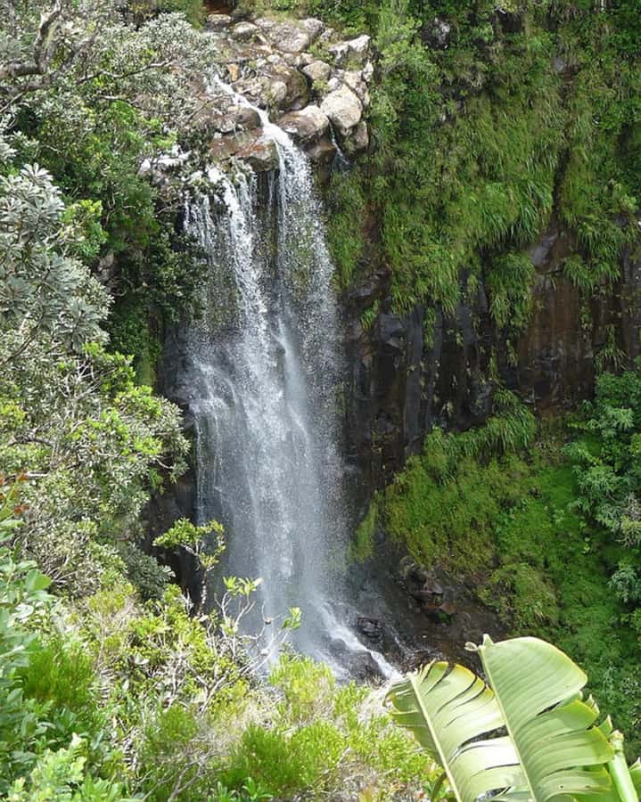 Mauritius: Private South Day Tour with Hotel Transfer - Vehicle comfort and pace matter