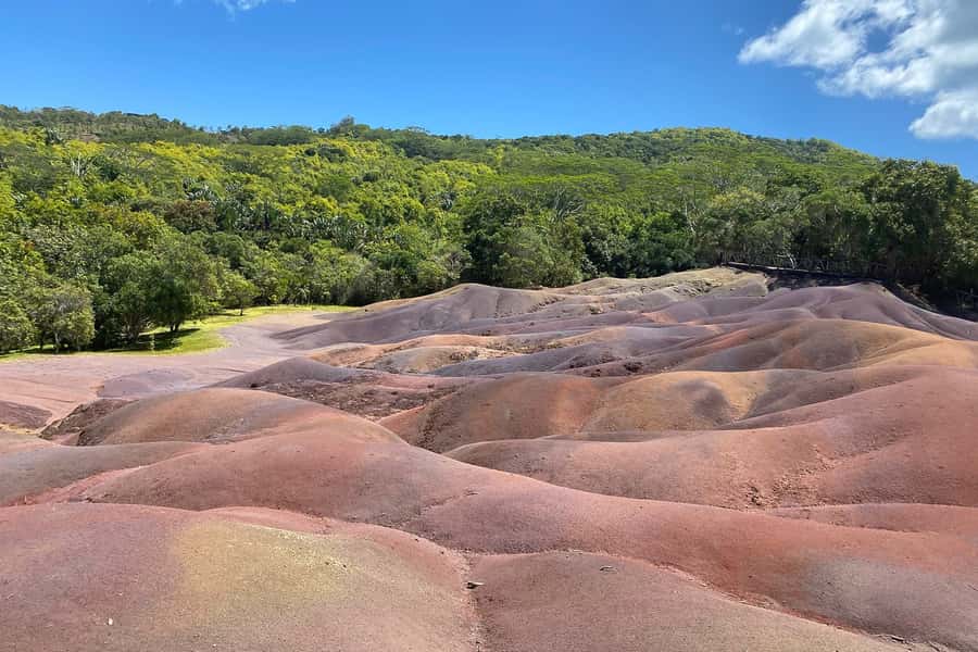 Private South-West Nature & Viewpoints with Lunch