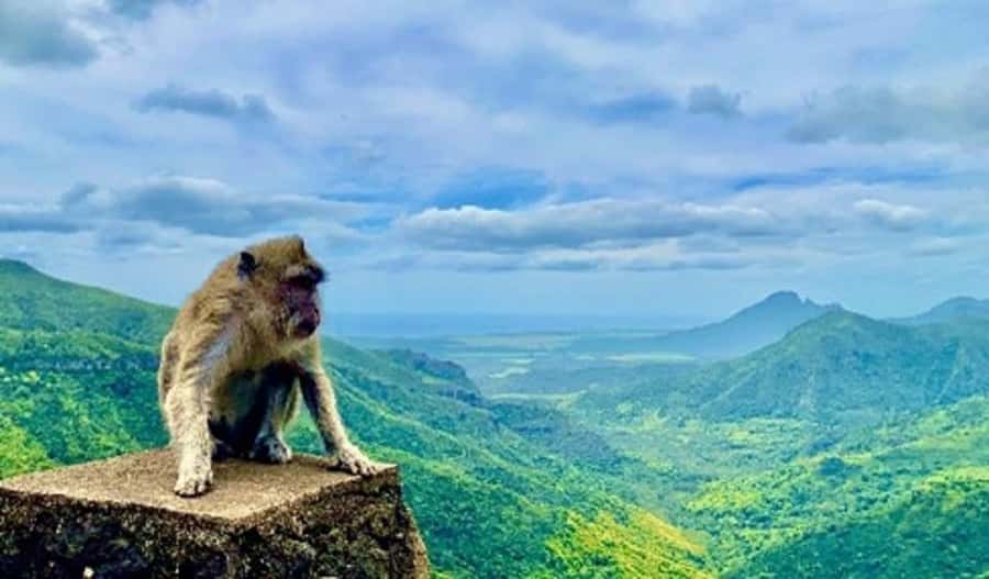 Mauritius: Private Southwest Day Tour - Black River Gorges and Alexandra Falls