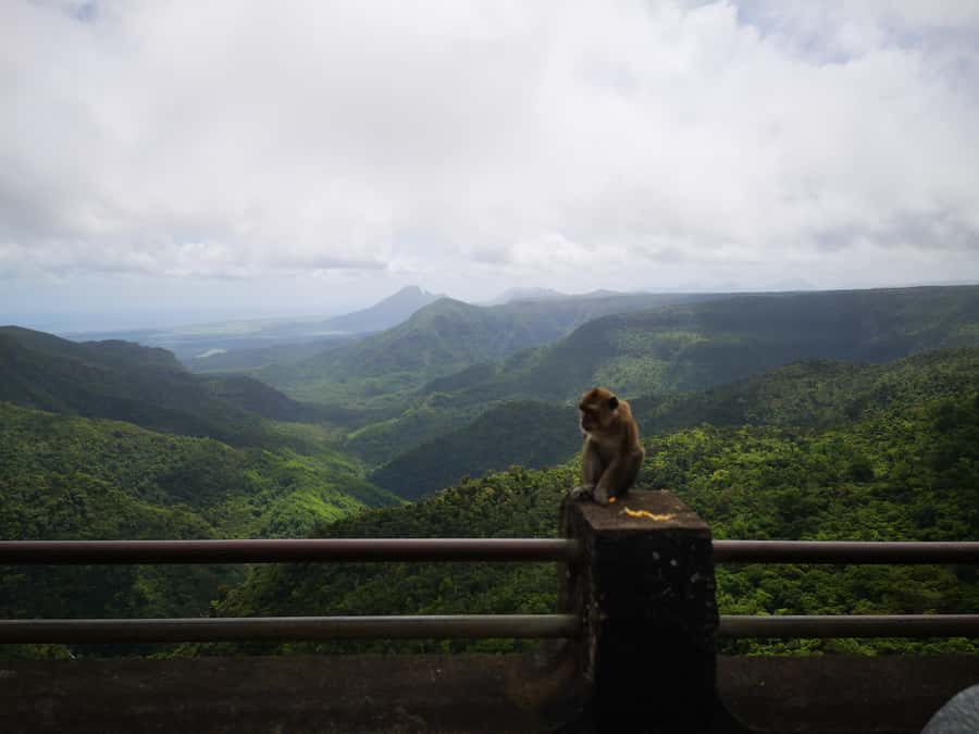 Mauritius: Private Southwest Tour with Pickup - Grand Bassin and the sacred Ganga Talao