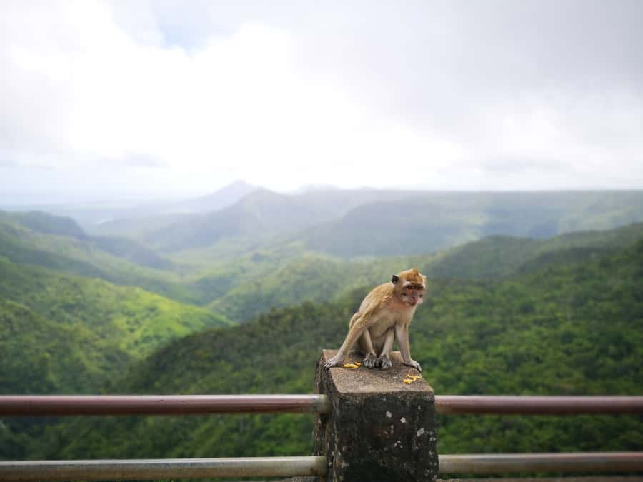 Mauritius: Private Southwest Tour with Pickup - Timing, weather, and who should book