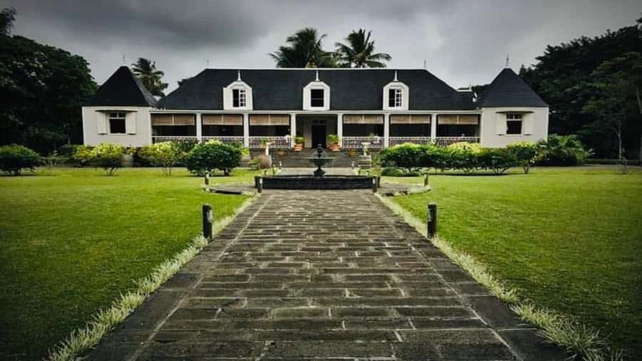 Mauritius : private wild south fullday tour - Bois Cheri, tea plantations and a taste of the island