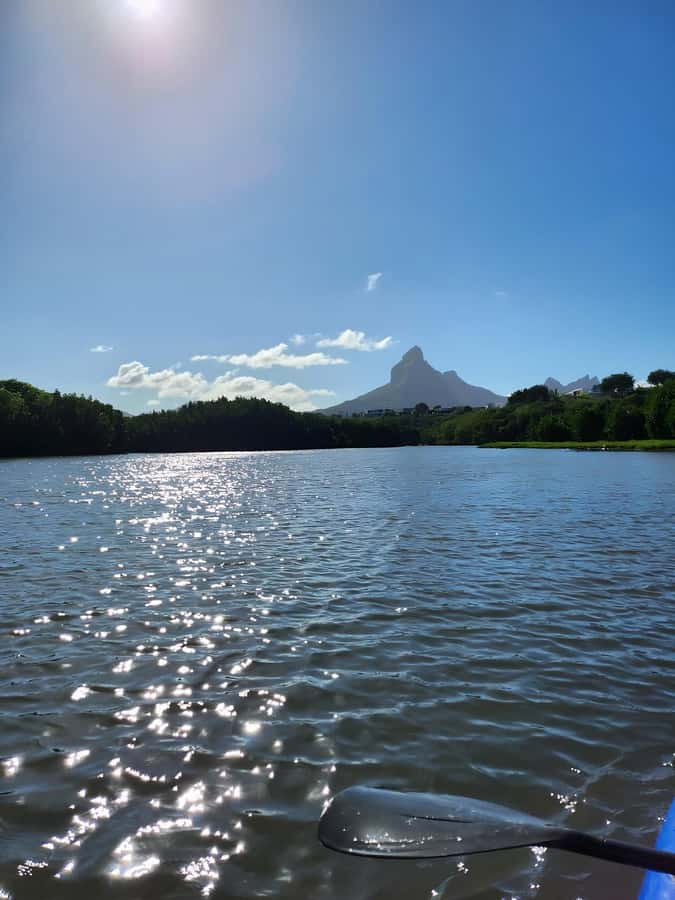 Mauritius: River Guided Kayak Tour with Monkeys - Key points to know before booking