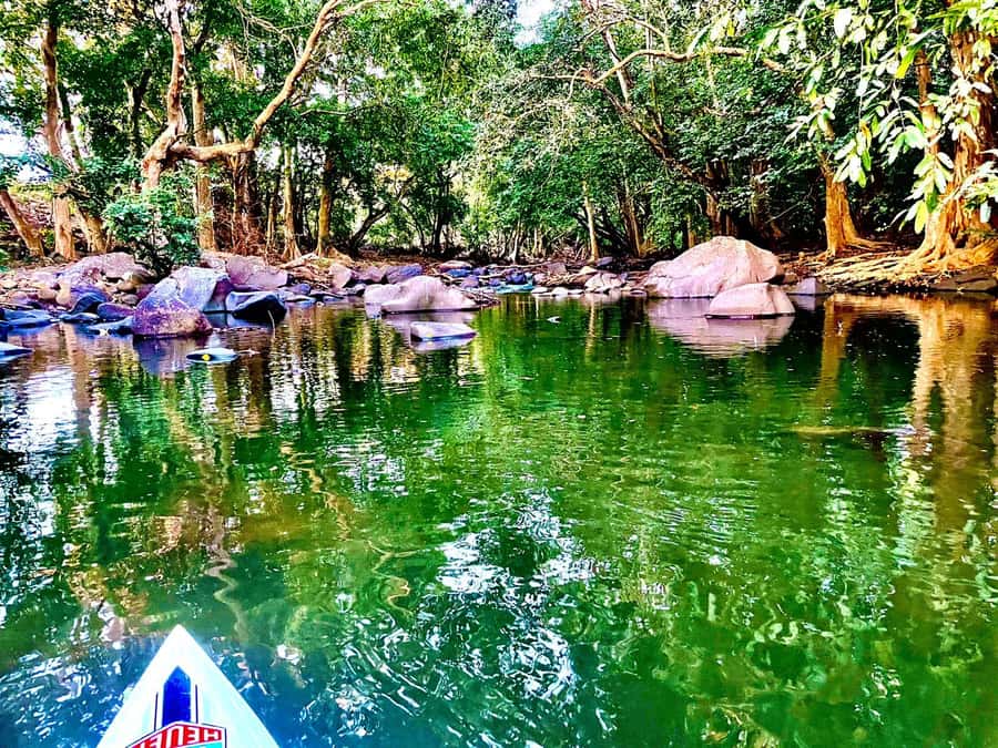 Mauritius: River Guided Kayak Tour with Monkeys - Is $35 a good value?