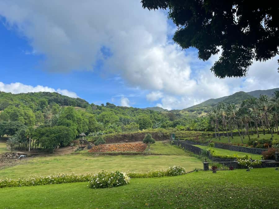 Mauritius: Scenic Bike Trails with Gear & Shuttle - Why this bike park feels different from a normal island outing