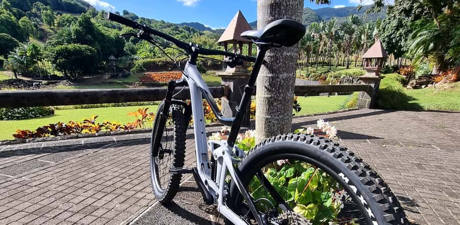 Mauritius: Scenic Bike Trails with Gear & Shuttle - The $70 price and what it includes