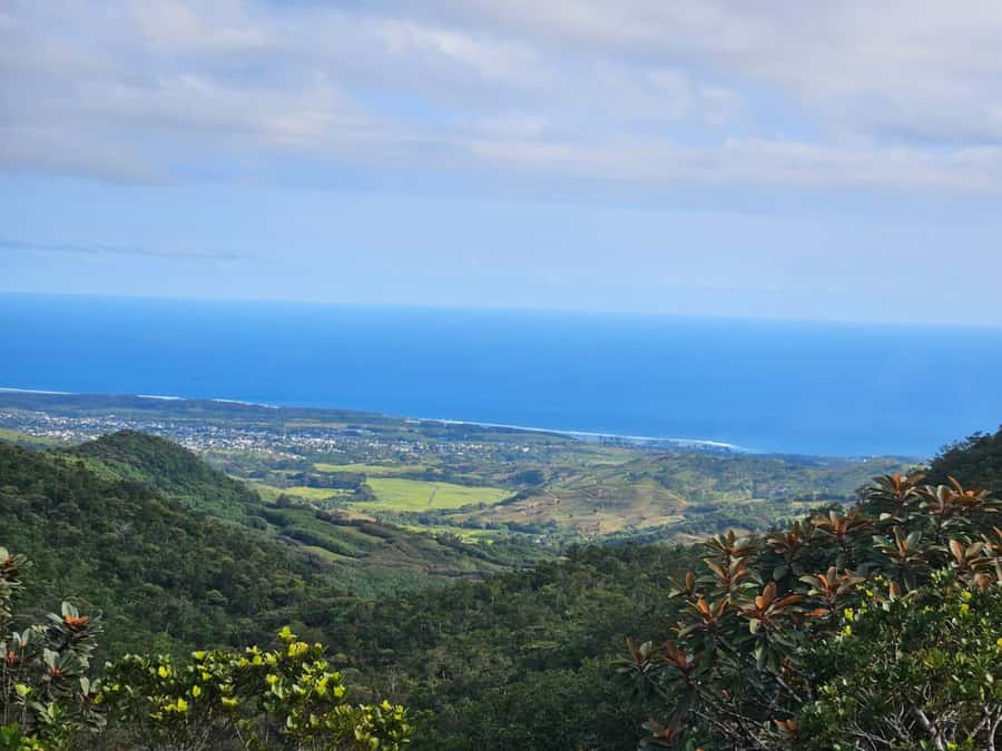 Mauritius: Sights of the South Private Tour with Rum Tasting - Chamarel Waterfall, one of the day’s big views