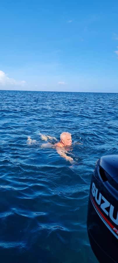 Mauritius: Snorkel and Swim with Dolphins on Speedboat Tour - Watching dolphins in their natural setting