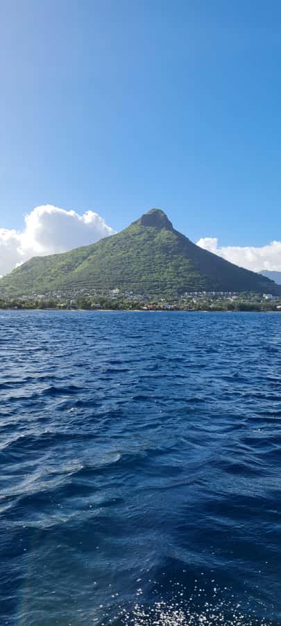 Mauritius: Snorkel and Swim with Dolphins on Speedboat Tour - Captain Jérôme and the guide support the experience