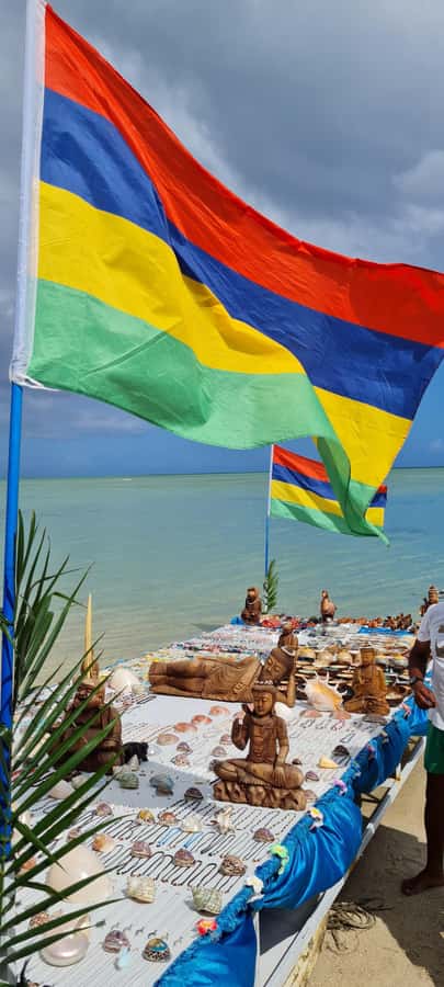 Mauritius: Snorkel and Swim with Dolphins on Speedboat Tour - Practical details that can make the morning easier