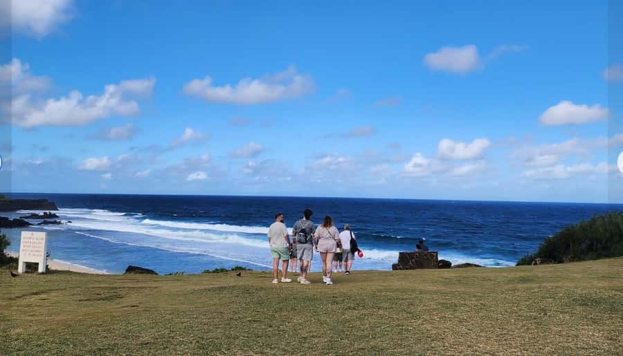 Mauritius: South Coast Tour with Tea Factory & Gris Gris - Starting at Bois Chéri Tea Estate