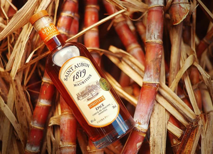 Mauritius: South of the Island Private Full-Day Tour - Rum tasting at Rhumerie St Aubin