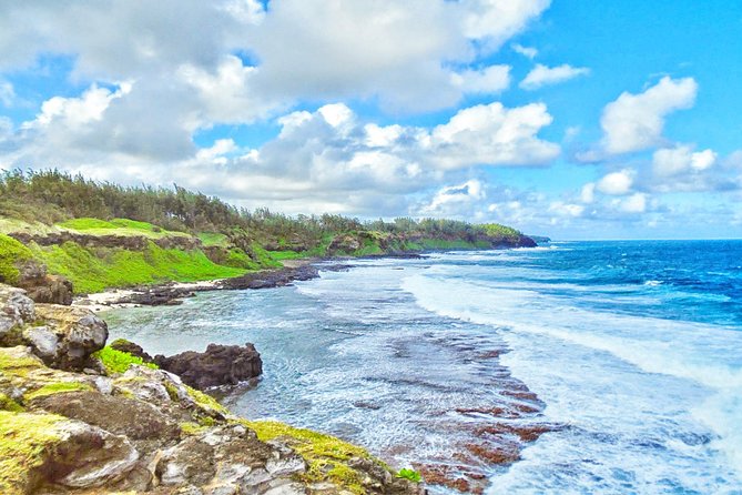 Mauritius South Tour Including Blue Bay Glass Bottom Boat & Snorkelling - La Vanille puts animals at the center