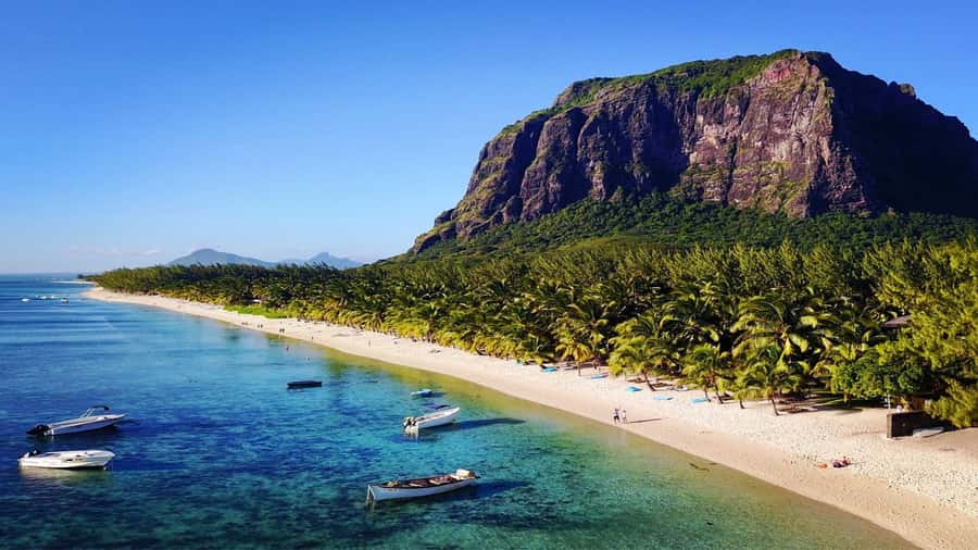 Mauritius: Southern Tour Incl. Adventure Park & Le Morne - Maconde Viewpoint and Gris Gris Beach