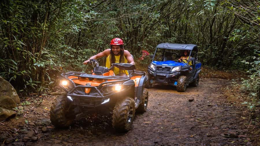 Mauritius: Southern Tour w/La Vanille & Le Morne Beach - Why this southern Mauritius day works