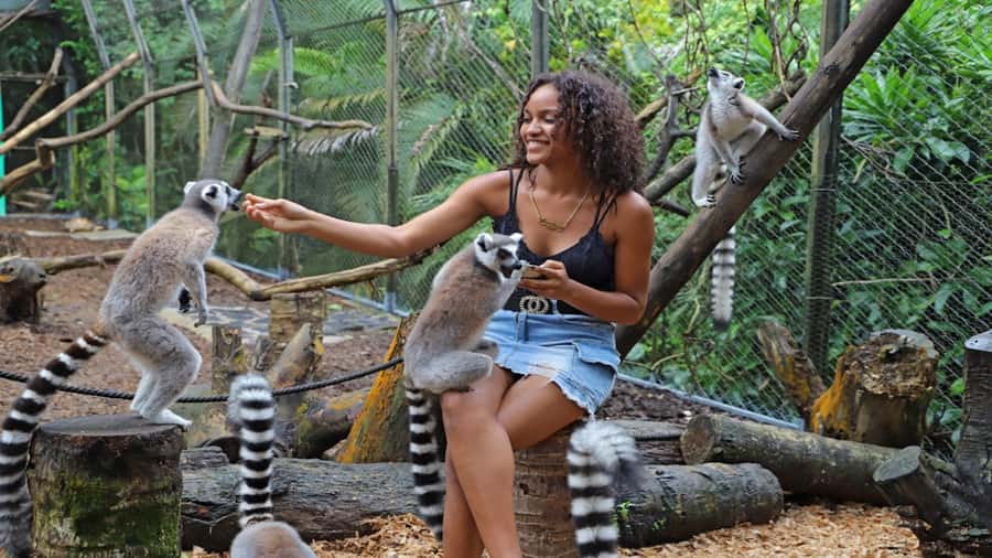 Mauritius: Southern Tour w/La Vanille & Le Morne Beach - Valle Advenature Park: choose your thrill