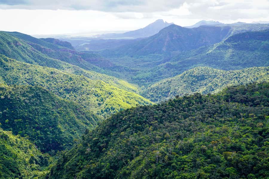 Mauritius: Sunrise Mountain Hike with Southwest Road-trip - The final garden walk