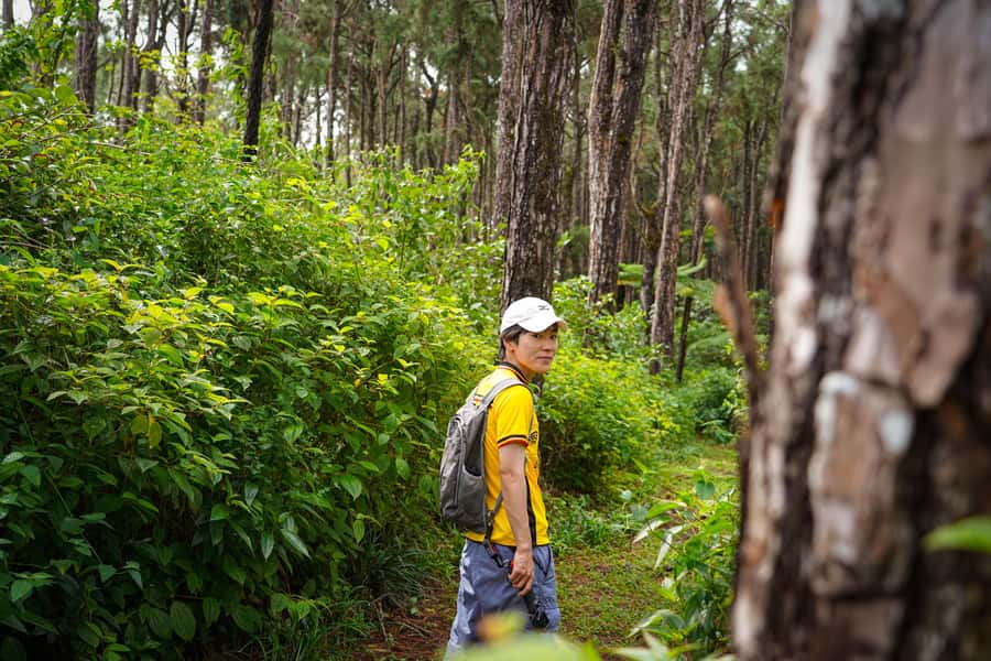 Mauritius: Sunrise Mountain Hike with Southwest Road-trip - What the technical hike demands from you