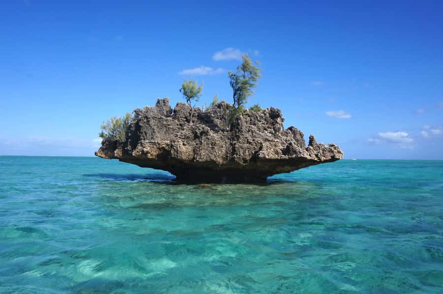Mauritius: Swim with Dolphins Full-Day with Lunch/Drinks - BBQ lunch and a break on Île aux Bénitiers