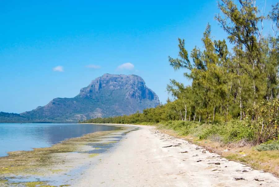 Mauritius: Swim with Dolphins Full-Day with Lunch/Drinks - FAQ