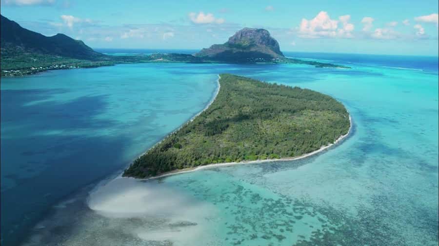 Mauritius: Swim with Dolphins Full-Day with Lunch/Drinks - Snorkeling at The Aquarium