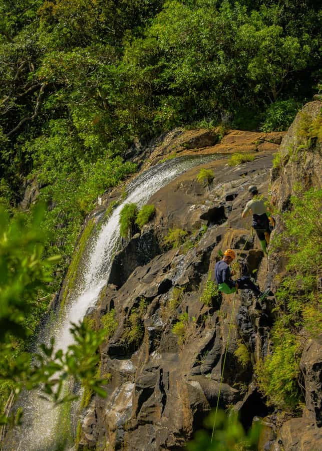 Mauritius: Tamarind Falls Canyoning Adventure - Safety, pace, and the role of the guides
