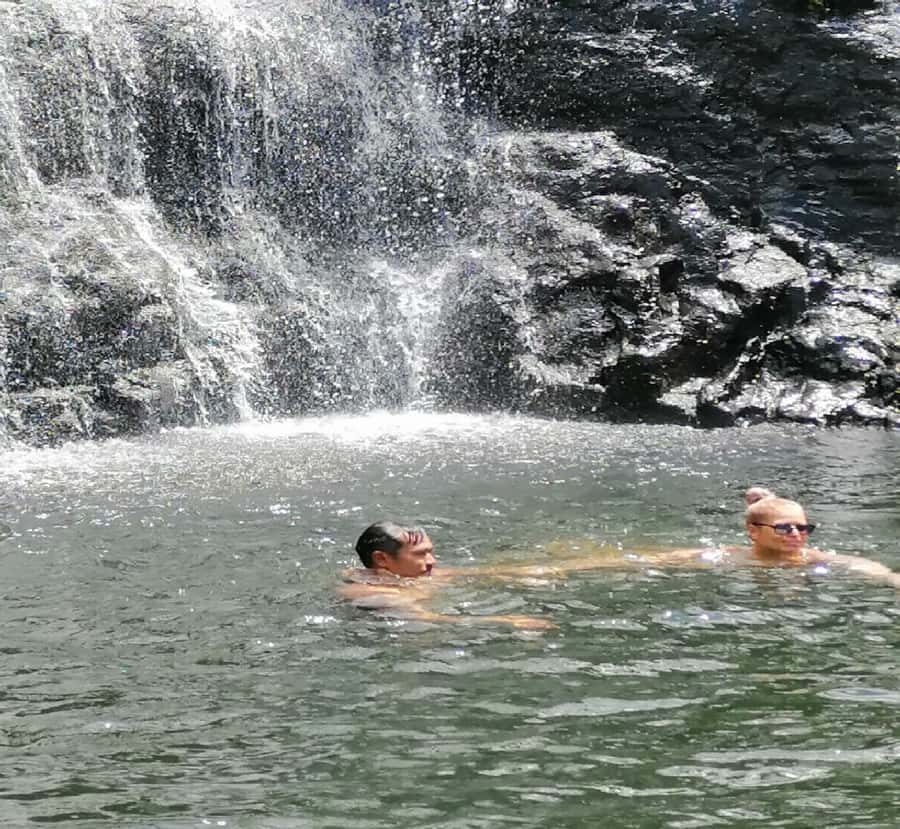 Mauritius: Tamarind Falls Guided Hike with Swim and Lunch - The first 40 minutes into the forest
