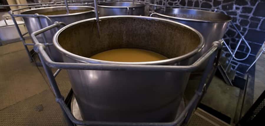 Mauritius: Tea and Sugar Plantation Guided Tour with Lunch - The guide can make or break the day