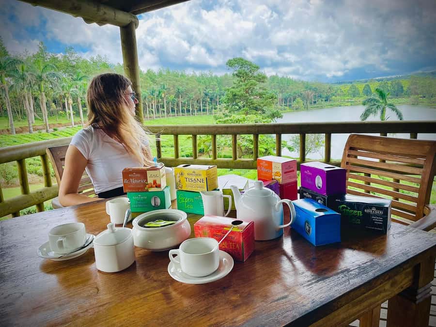 Mauritius: Tea, Rum and Vanilla Route with Lunch and Pickup - Bois Chéri, Mauritius’s tea center