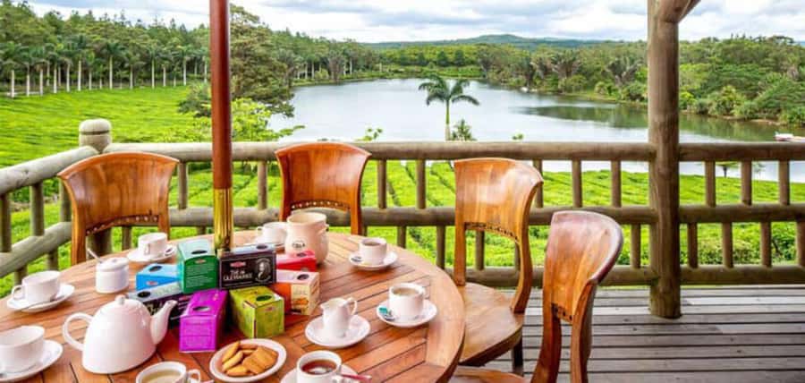 Mauritius: Tea, Rum and Vanilla Route with Lunch and Pickup - Rum tasting at La Maison du Rhum