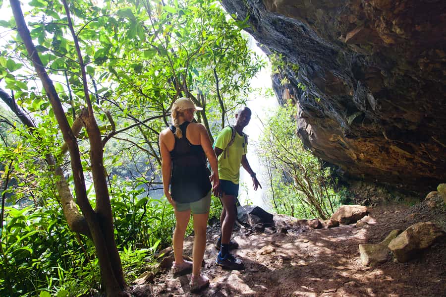 Mauritius: The Iconic Waterfalls hike + Mauritian picnic - The first trail section: green forest and gorge views