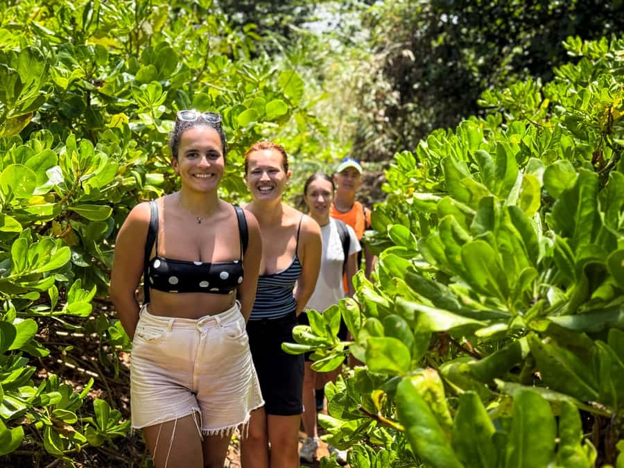 Mauritius: The Wild South Hiking Tour with a Guide - The waterfall massage at Mamzelle