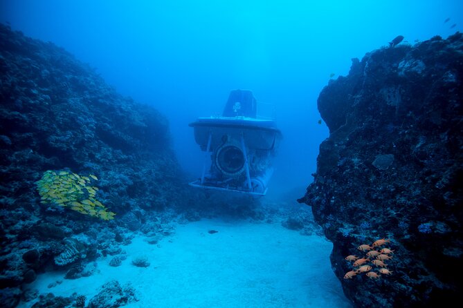 Mauritius Unique Submarine Tour - Key points at a glance