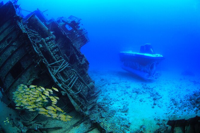 Mauritius Unique Submarine Tour - Why the Star Hope Shipwreck makes this more than a fish-watching trip