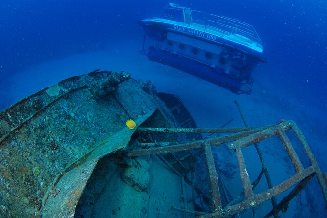 Mauritius Unique Submarine Tour - Who will enjoy this Mauritius submarine tour?