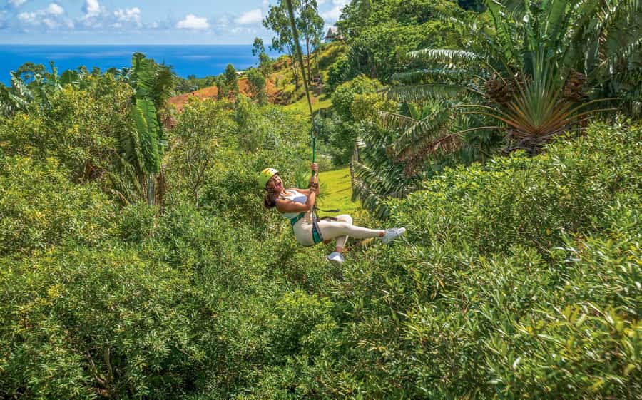 Mauritius: Vallé Advenature Park - Adventure Tour Zipline - What the six rides feel like
