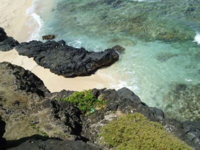 Vanilla Park & Beaches Tour with Extra Option