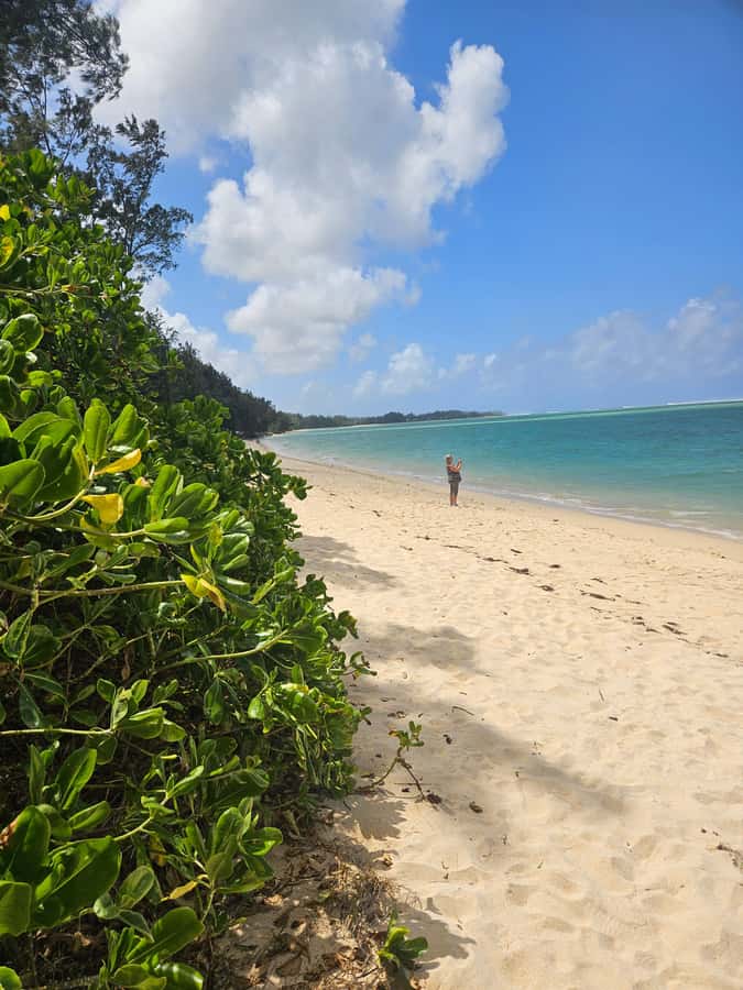 Mauritius: Vanilla Park & Beaches Tour with Extra Option - Le Morne Beach and the meaning of the area