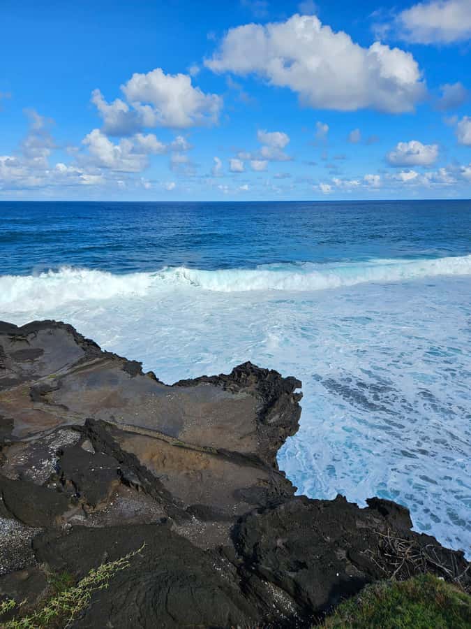 Mauritius: Vanilla Park & Beaches Tour with Extra Option - Who should book this day
