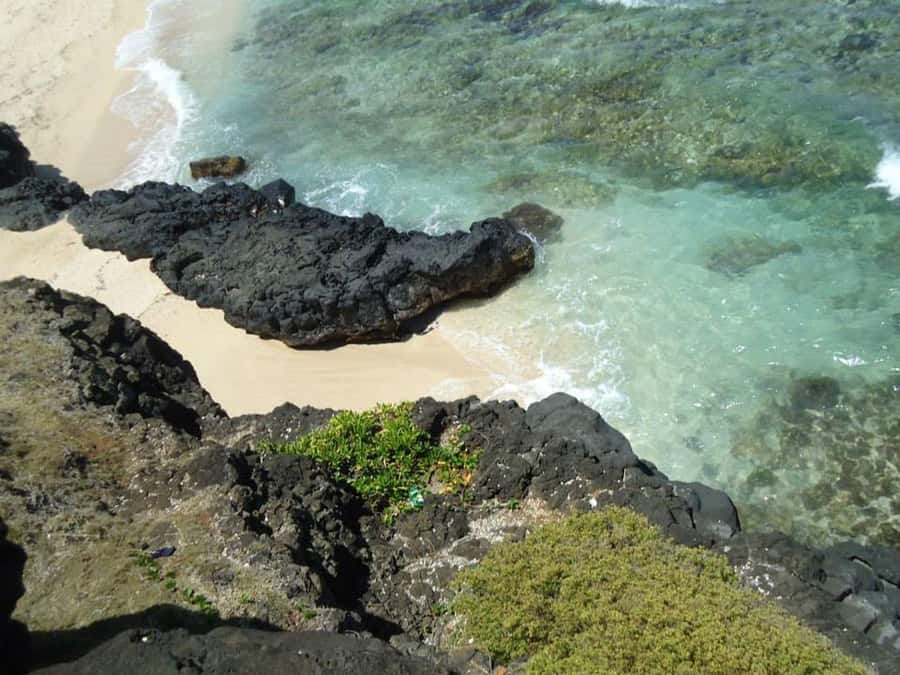 Mauritius: Vanilla Park & Beaches Tour with Extra Option - La Vanille Nature Park and its giant tortoises