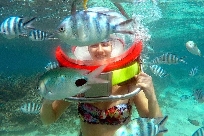 Mesmerizing Ile aux Cerf: Speed Boat, GRSE, Lunch & Undersea walk (Full Day) - Four hours on Ile aux Cerfs