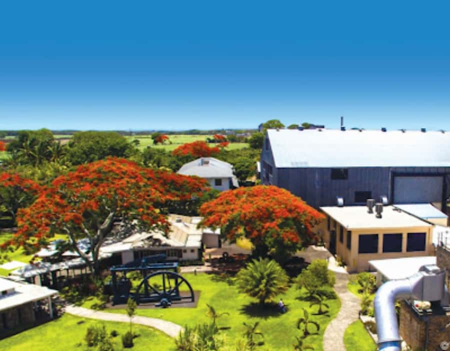 North Day Tour, Botanical Garden, Sugar Museum, Rum Tasting - Sugar, slavery, and rum at L’Aventure du Sucre
