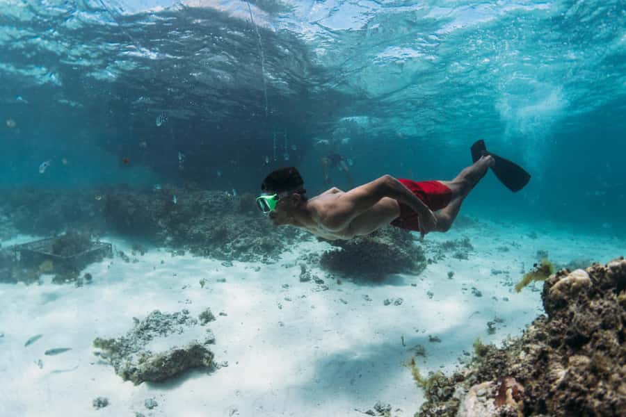 North East of Mauritius: Catamaran Cruise w/ BBQ Lunch - What the $80 price gets you