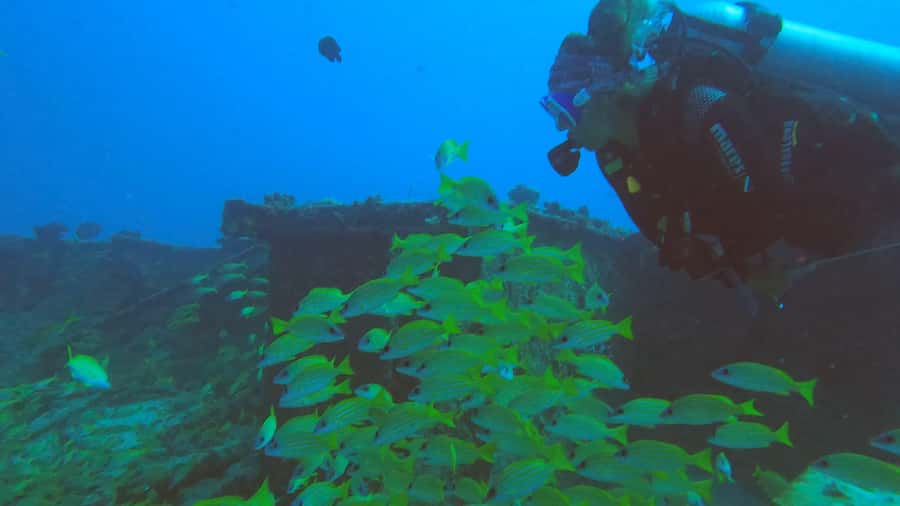 North of Mauritius: Scuba Diving Tour - What the underwater time may feel like