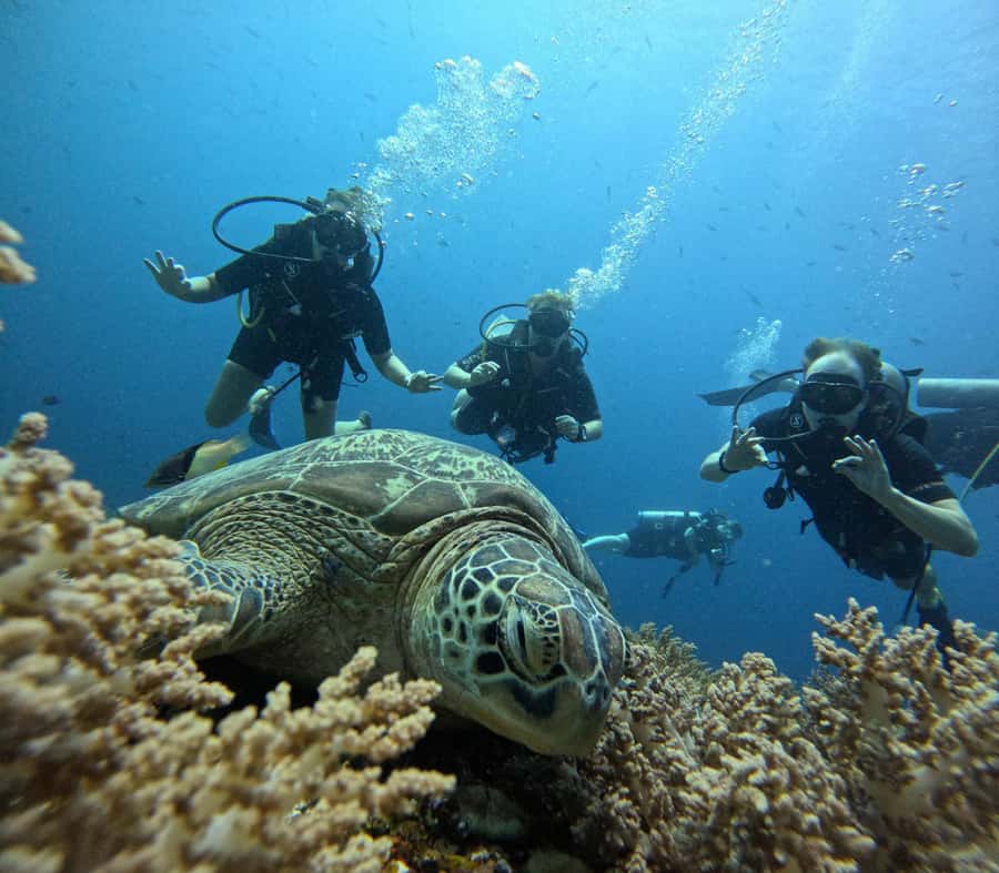 North of Mauritius: Scuba Diving Tour - The briefing before you enter the water