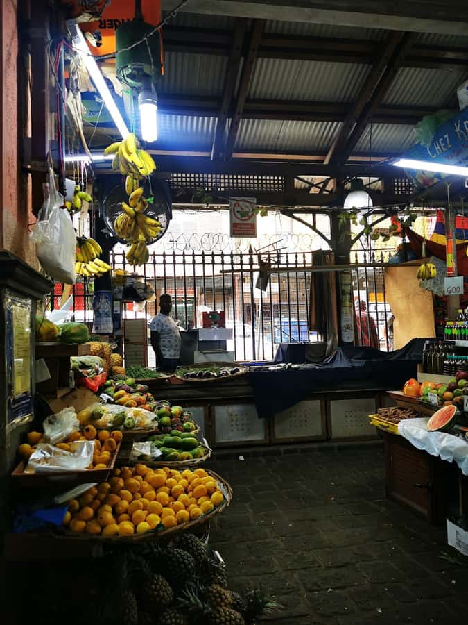 North Tour Of Mauritius With Street Food tasting - What the $176 Price Really Includes